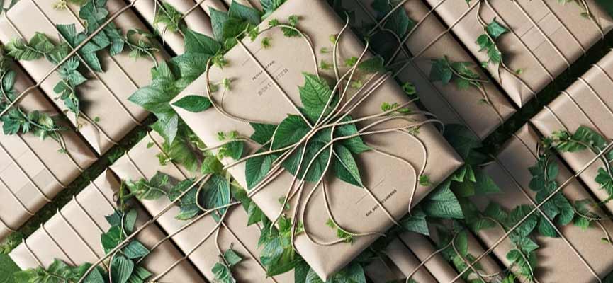 Image of packaging cover with vines to illustrate our packaging is sustainable